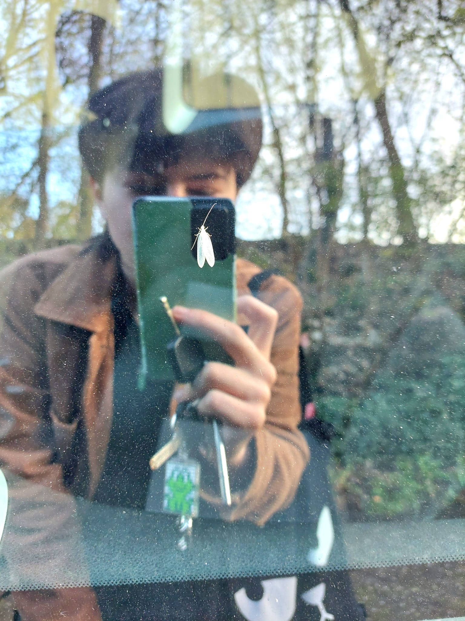 Profile picture of Myko Thomas in a butterfly